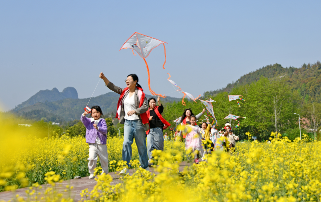 放風箏 享春光
